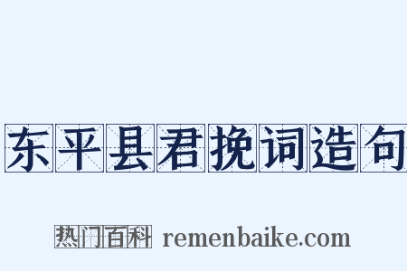 东平县君挽词造句是什么意思的图片